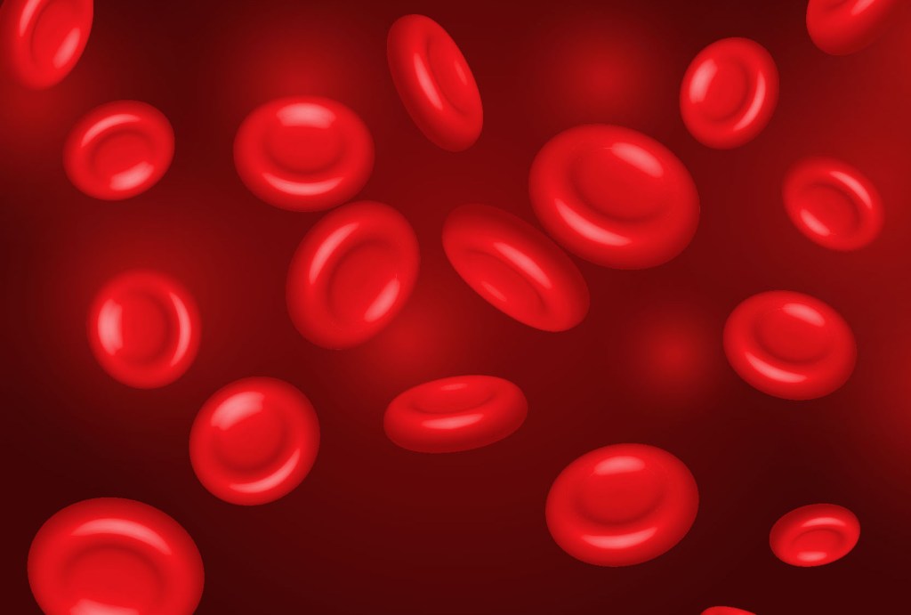 紅血球